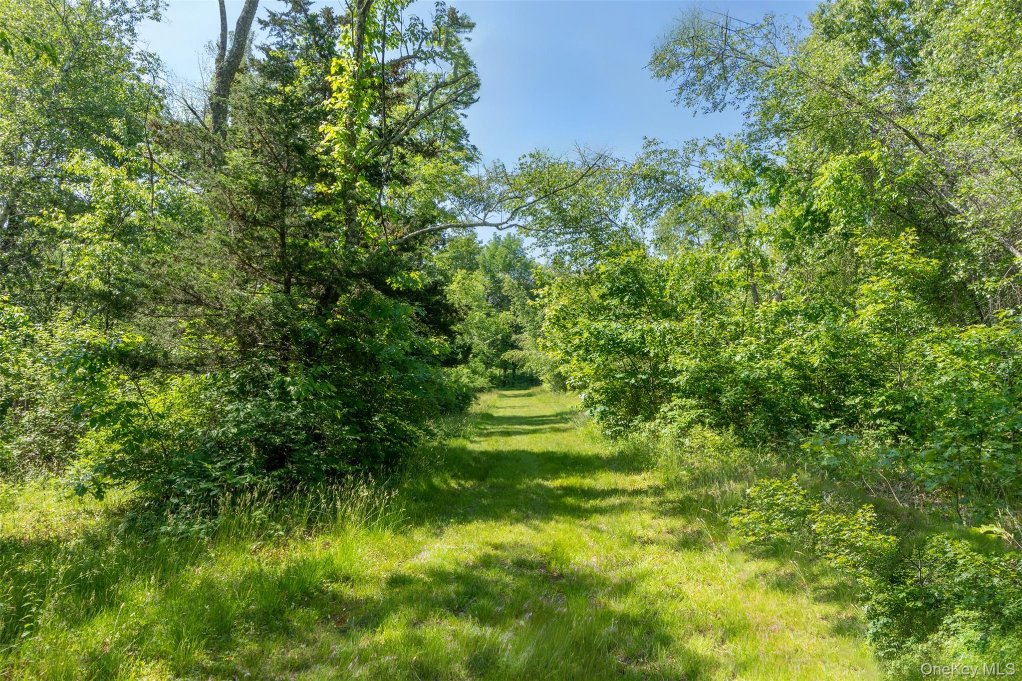 Single Family Woodstock Road Dutchess County, NY 12545, MLS-994161-40
