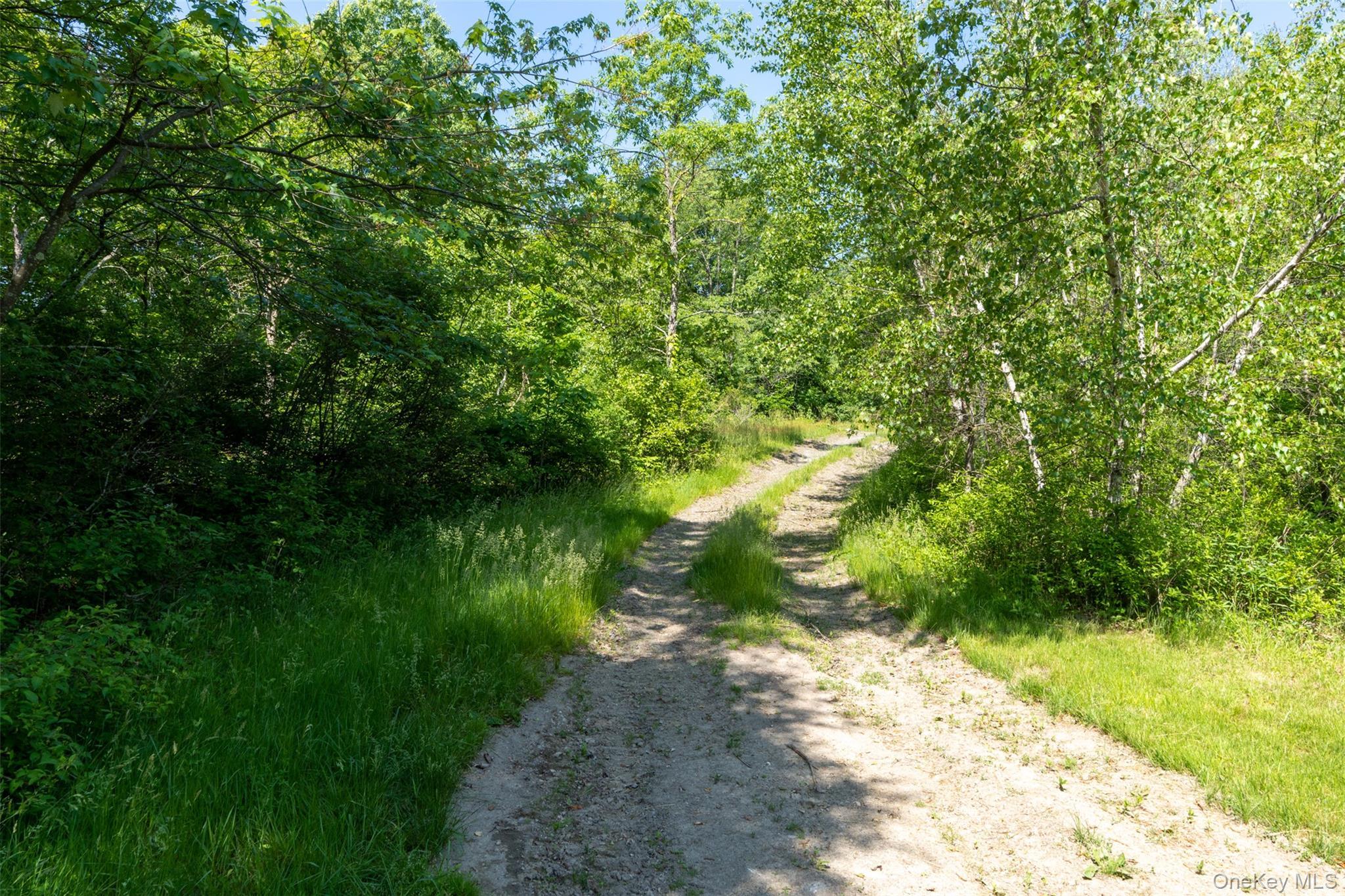 Single Family Woodstock Road Dutchess County, NY 12545, MLS-994161-41