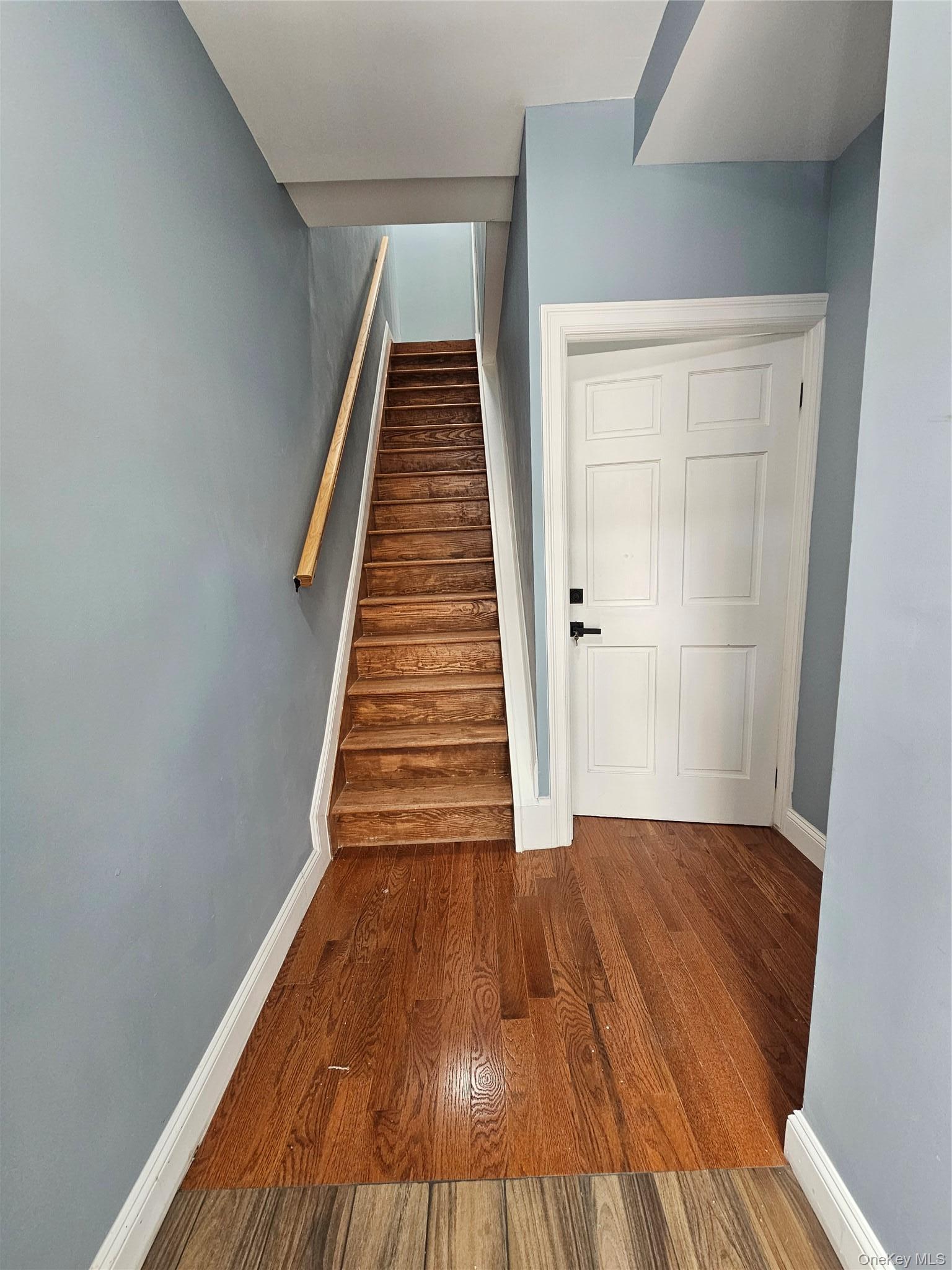 Single Family Jardine Brooklyn, NY 11233, MLS-994178-2