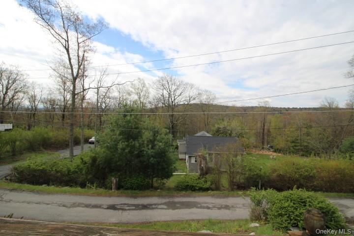 Single Family Chestnut West  Sullivan County, NY 12790, MLS-994223-3