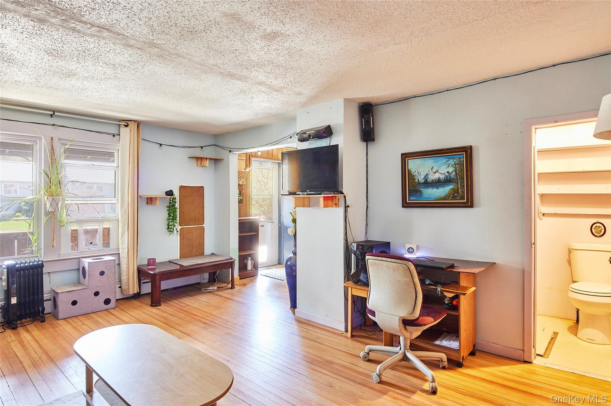 Single Family Main Street  Sullivan County, NY 12758, MLS-994310-28