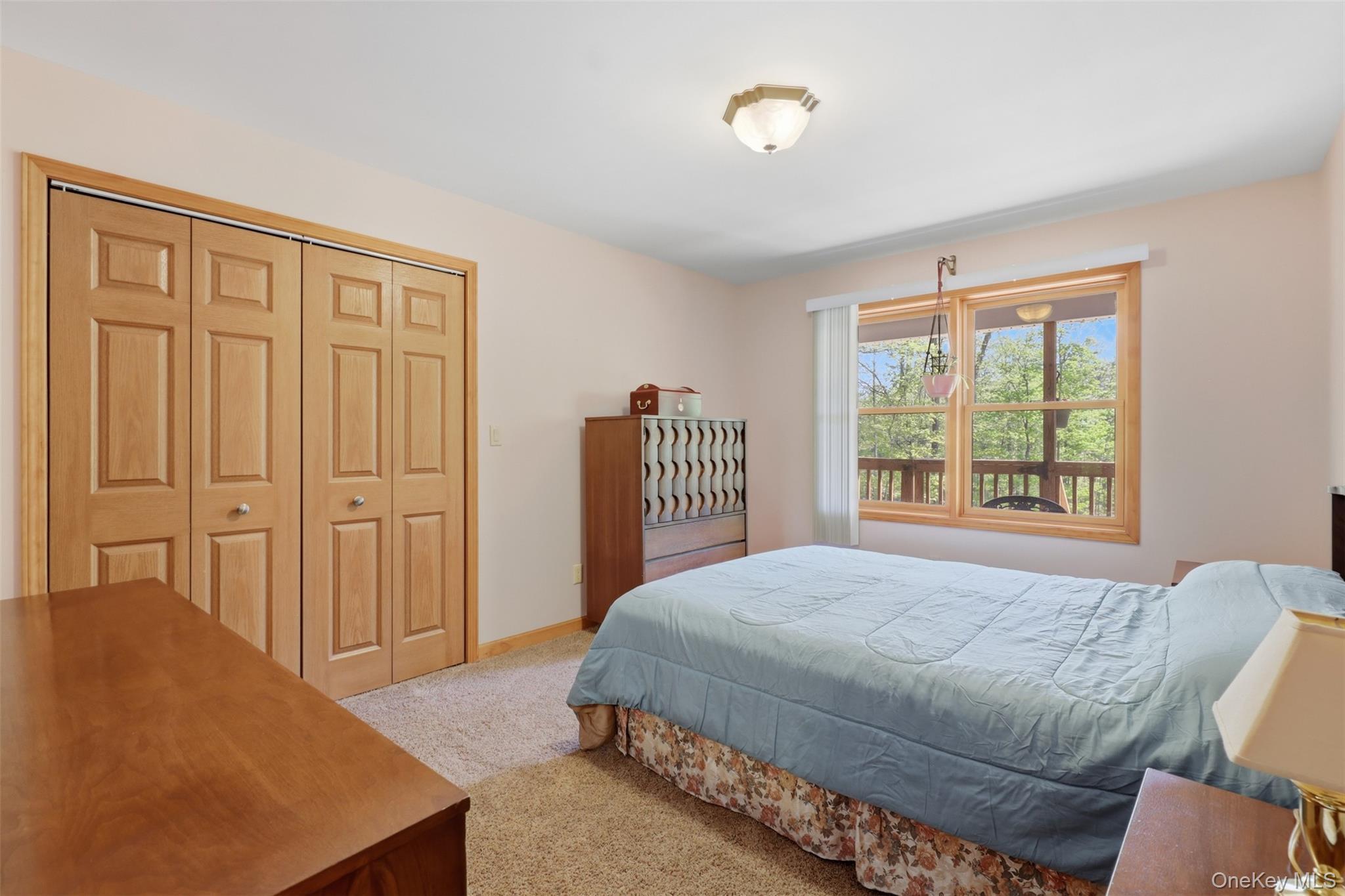 Single Family Red Hill Rd Sullivan County, NY 12769, MLS-994338-20