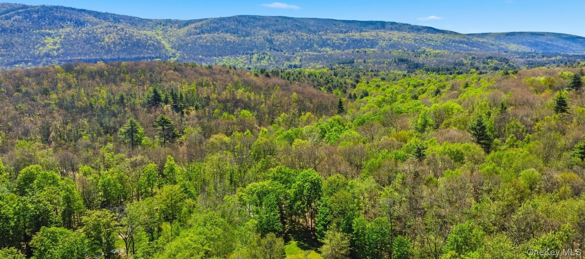 Single Family Red Hill Rd  Sullivan County, NY 12769, MLS-994338-44