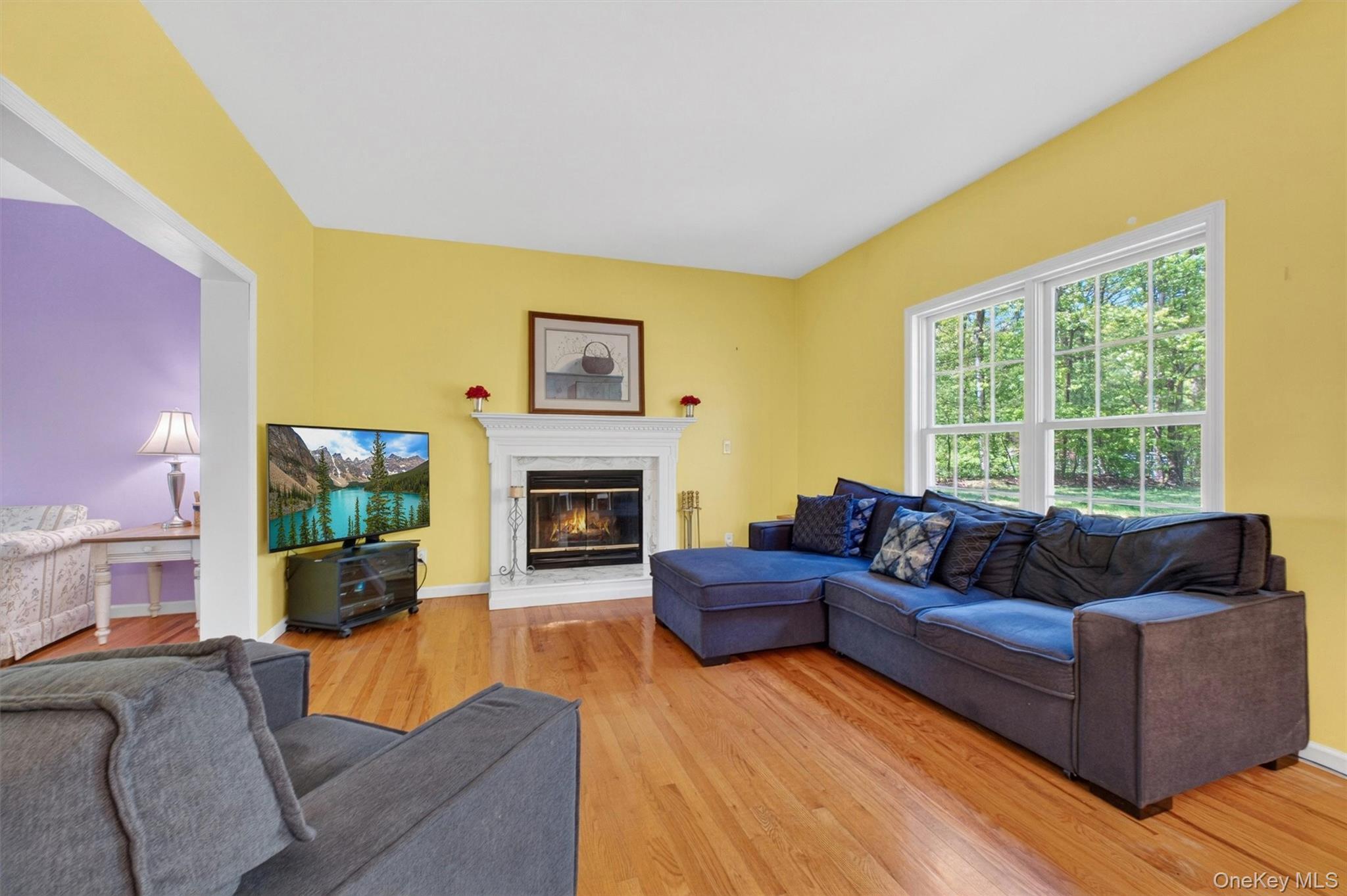 Single Family Westchester  Westchester County, NY 10511, MLS-994355-10