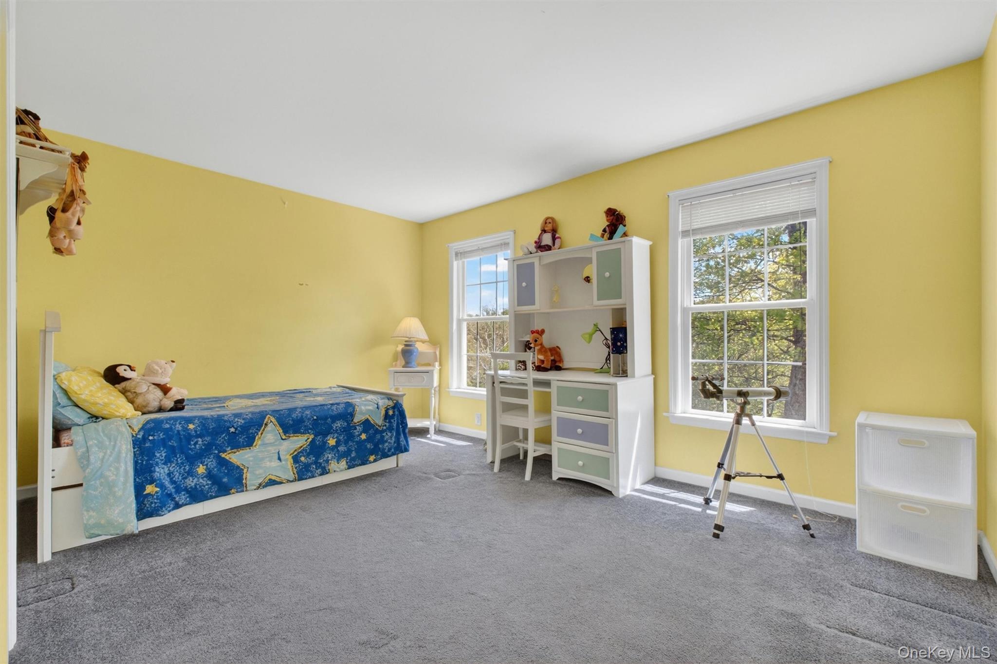 Single Family Westchester  Westchester County, NY 10511, MLS-994355-20