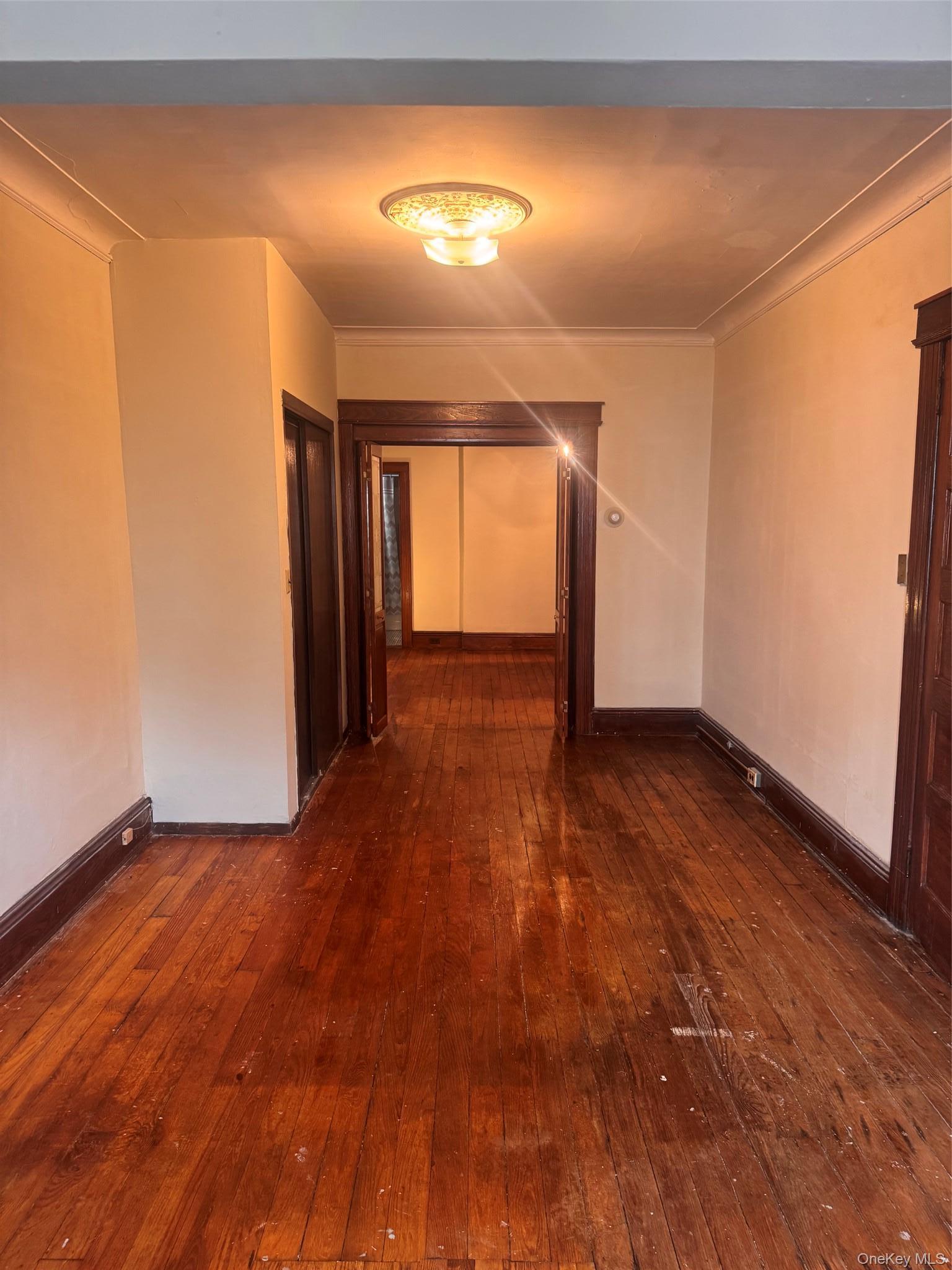 Single Family 87th  Queens, NY 11421, MLS-994365-6