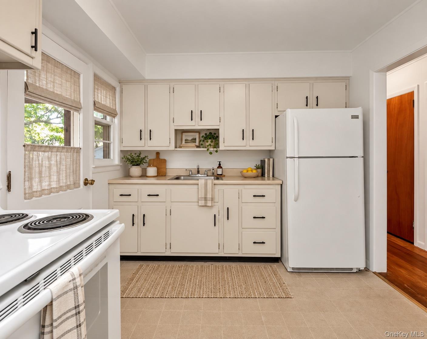Single Family Grant Avenue Nassau County, NY 11507, MLS-994372-13