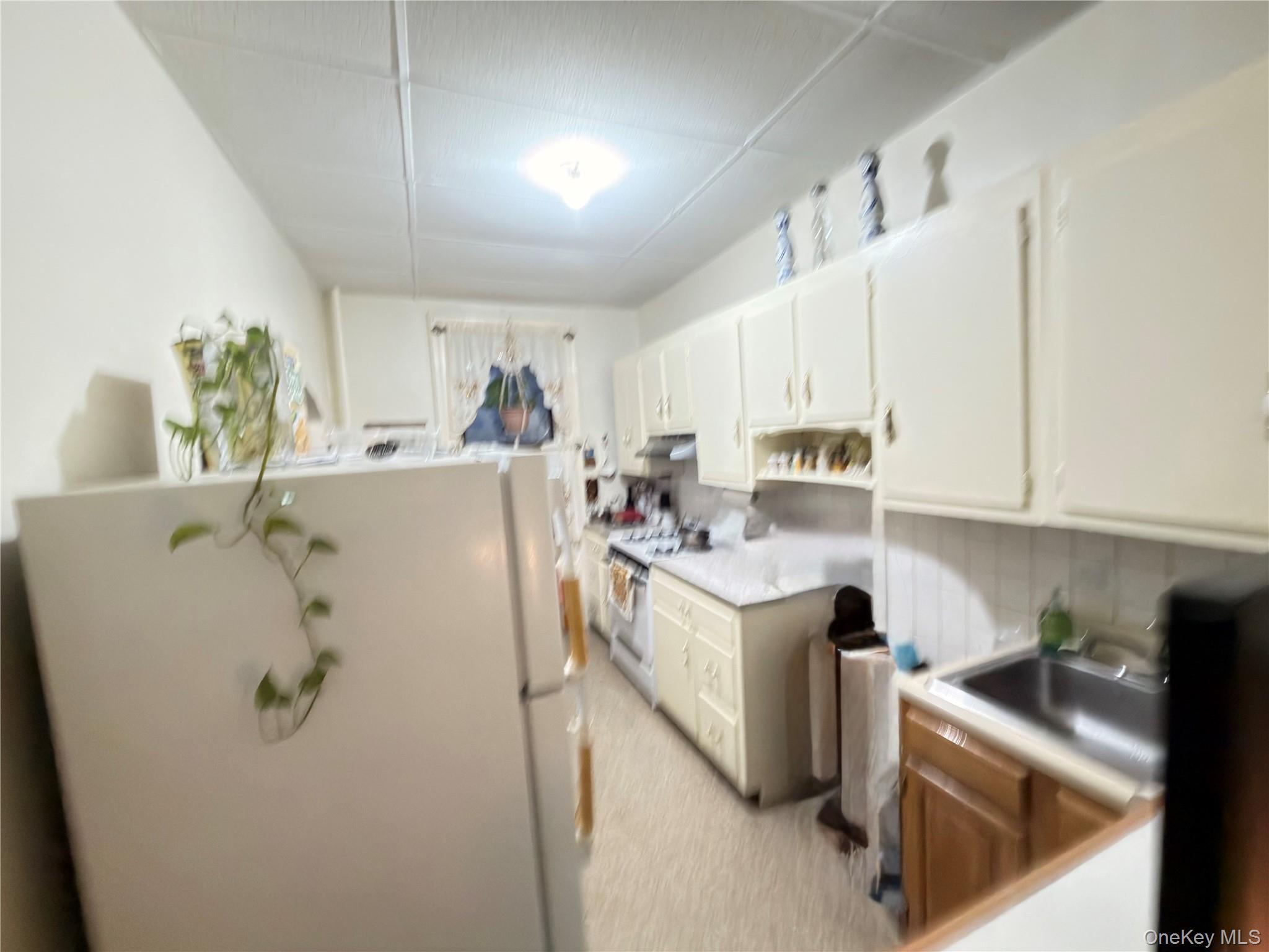 Commercial Sale Ridgewood Ave  Brooklyn, NY 11208, MLS-994482-9