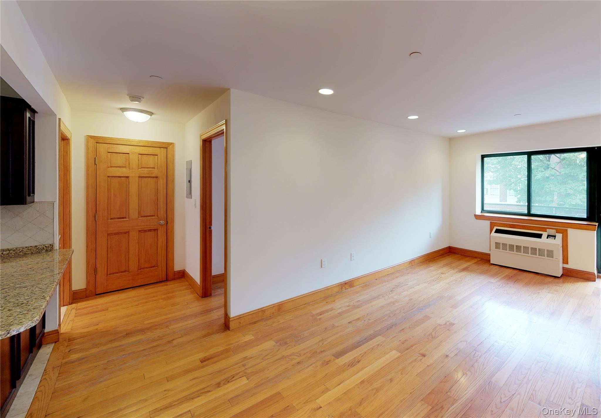 Apartment 143rd Queens, NY 11435, MLS-994500-2