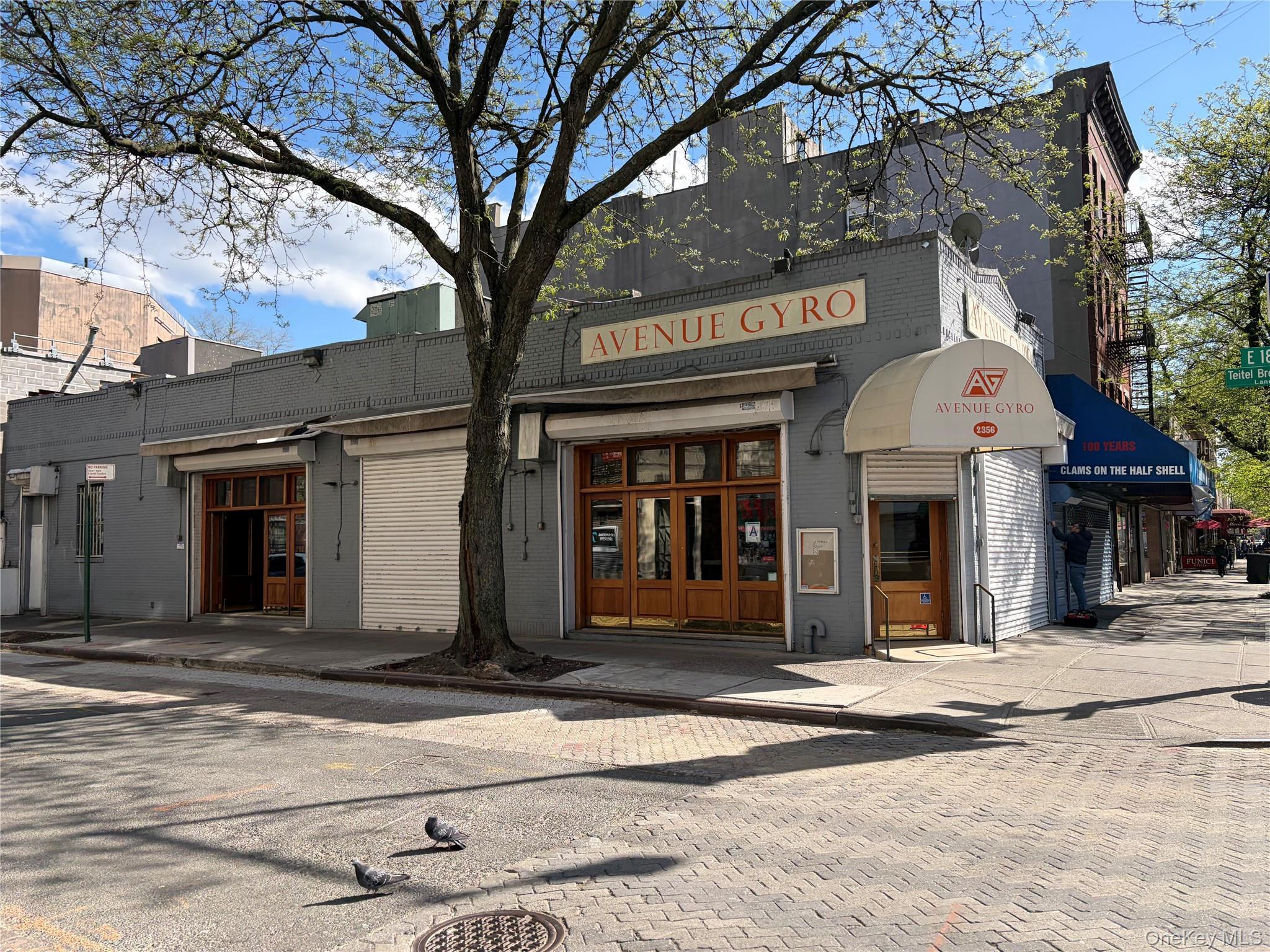 Commercial Sale Arthur Avenue  Bronx, NY 10458, MLS-994509-3