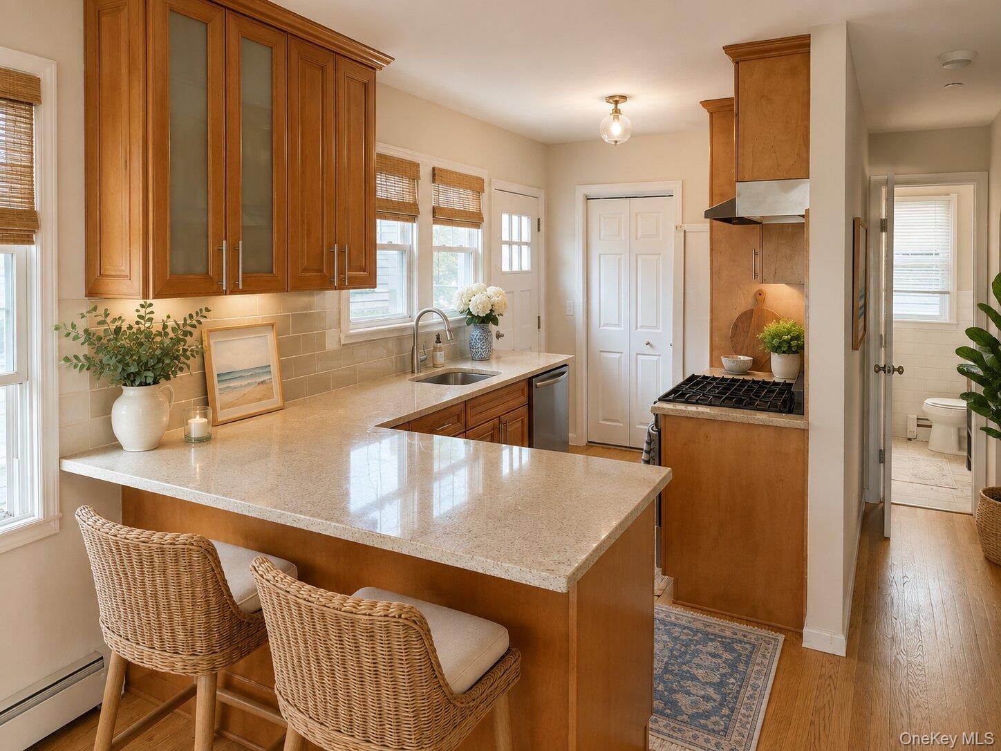 Single Family Florida Street  Nassau County, NY 11561, MLS-994555-6