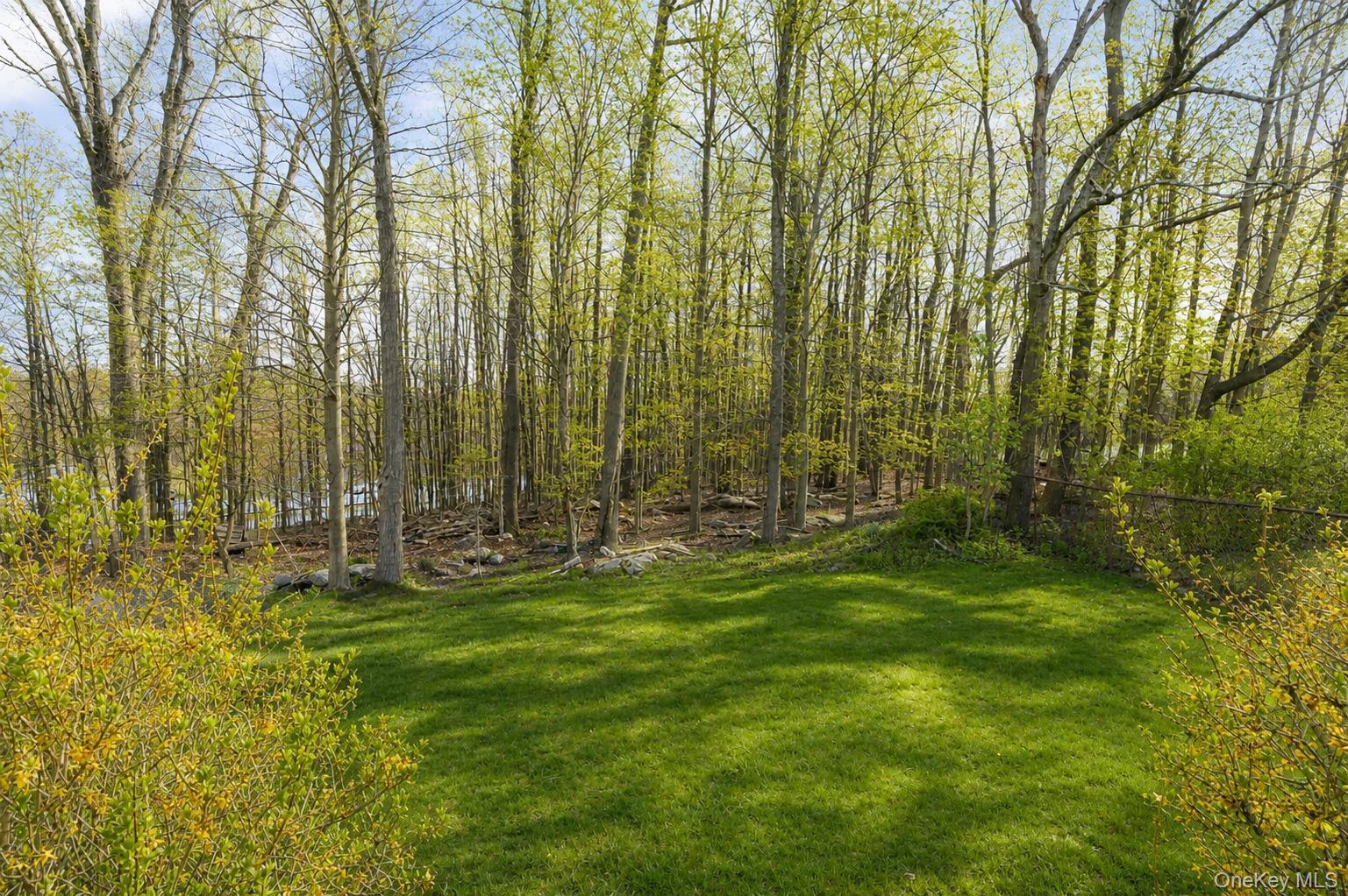Single Family Nelshore Drive Sullivan County, NY 12701, MLS-994558-11