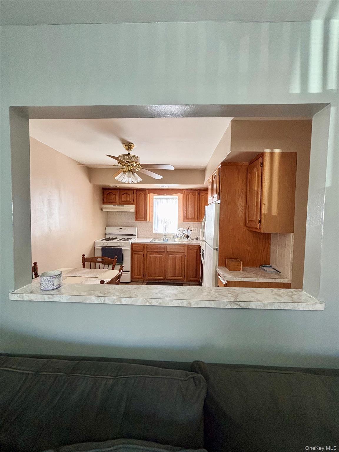 Single Family Edison  Bronx, NY 10461, MLS-994583-15