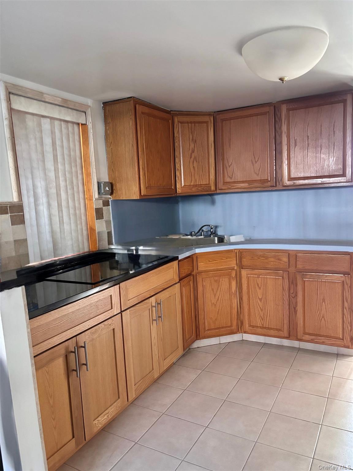 Single Family Edison  Bronx, NY 10461, MLS-994583-4