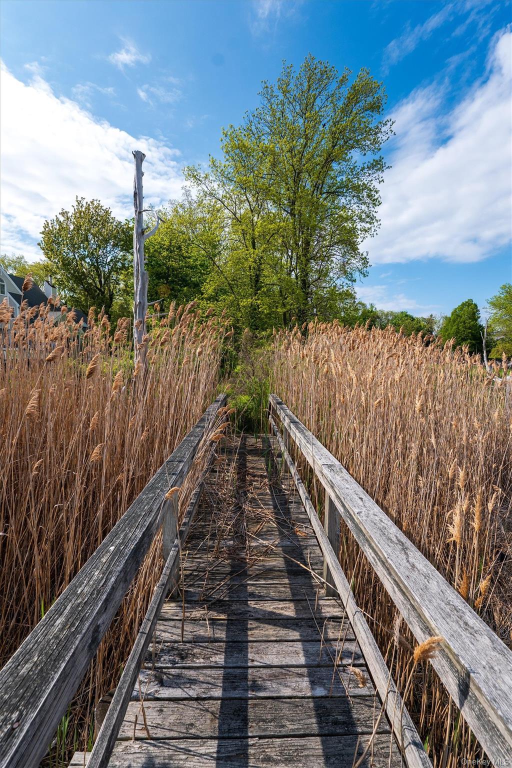 Single Family Old Field Road Suffolk County, NY 11733, MLS-994584-26
