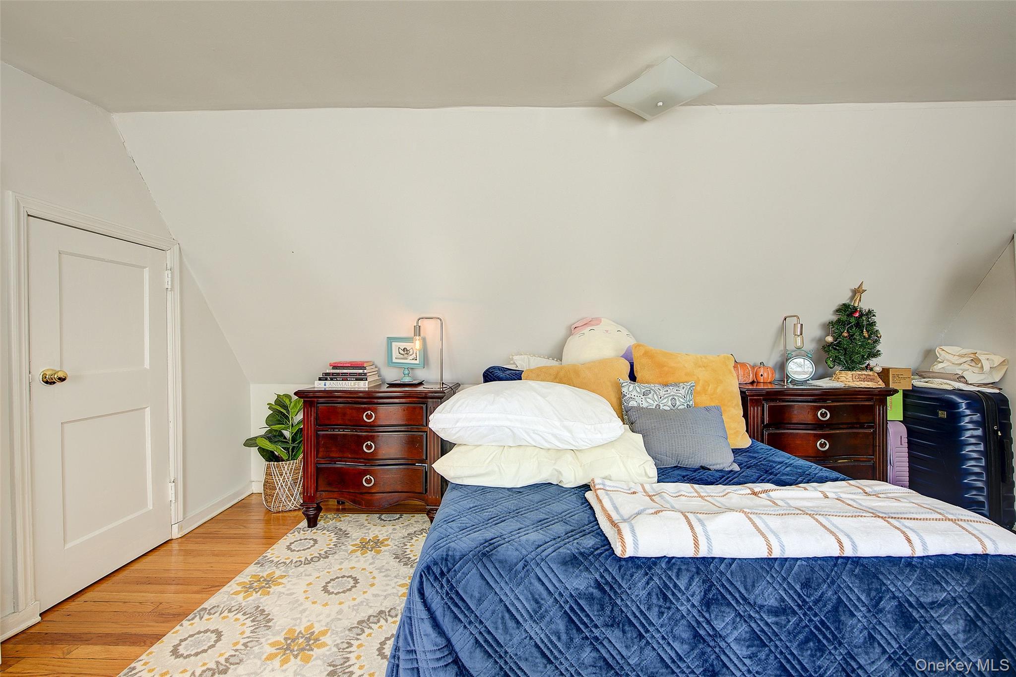 Single Family Buckingham Place Nassau County, NY 11563, MLS-994650-27
