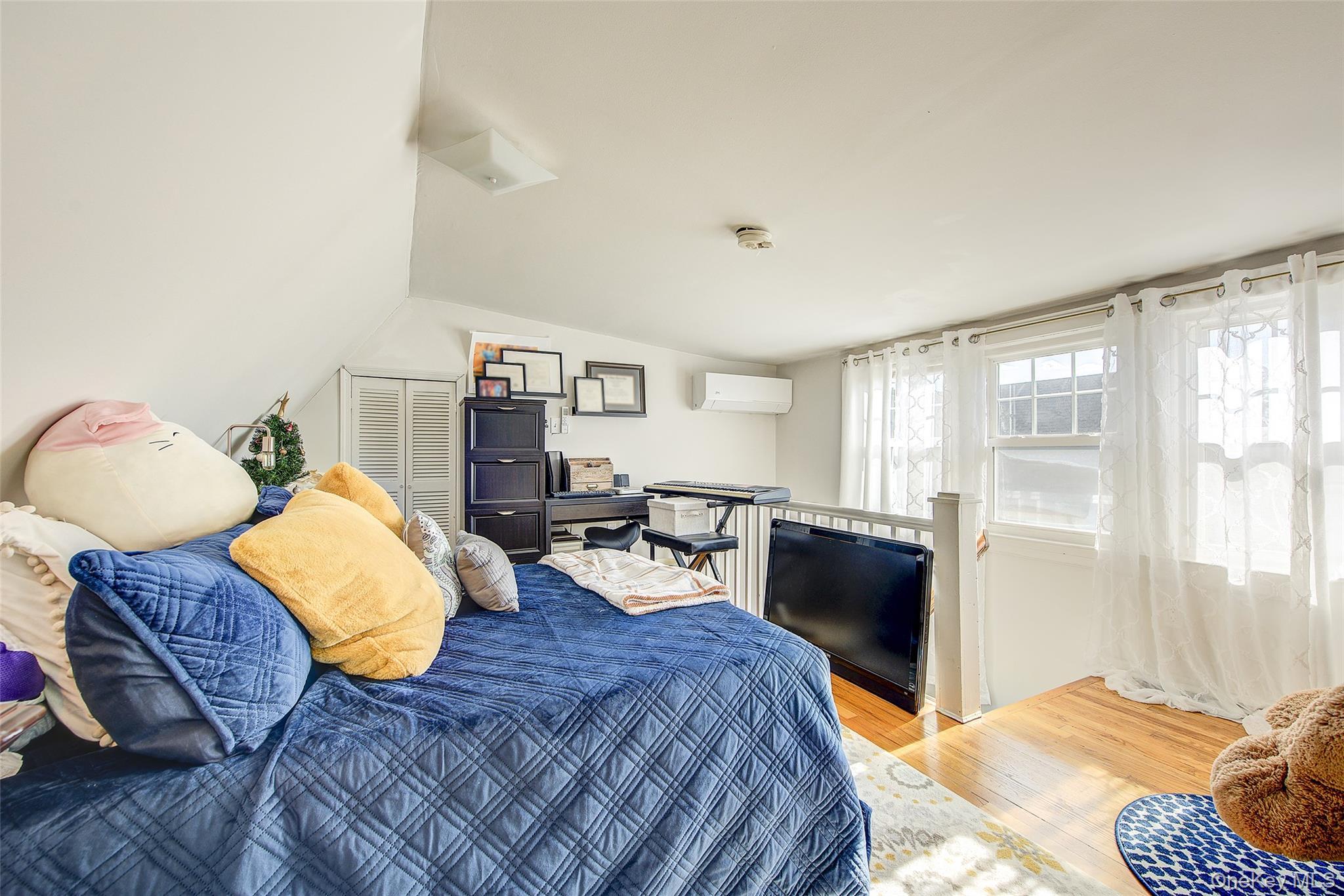 Single Family Buckingham Place Nassau County, NY 11563, MLS-994650-28