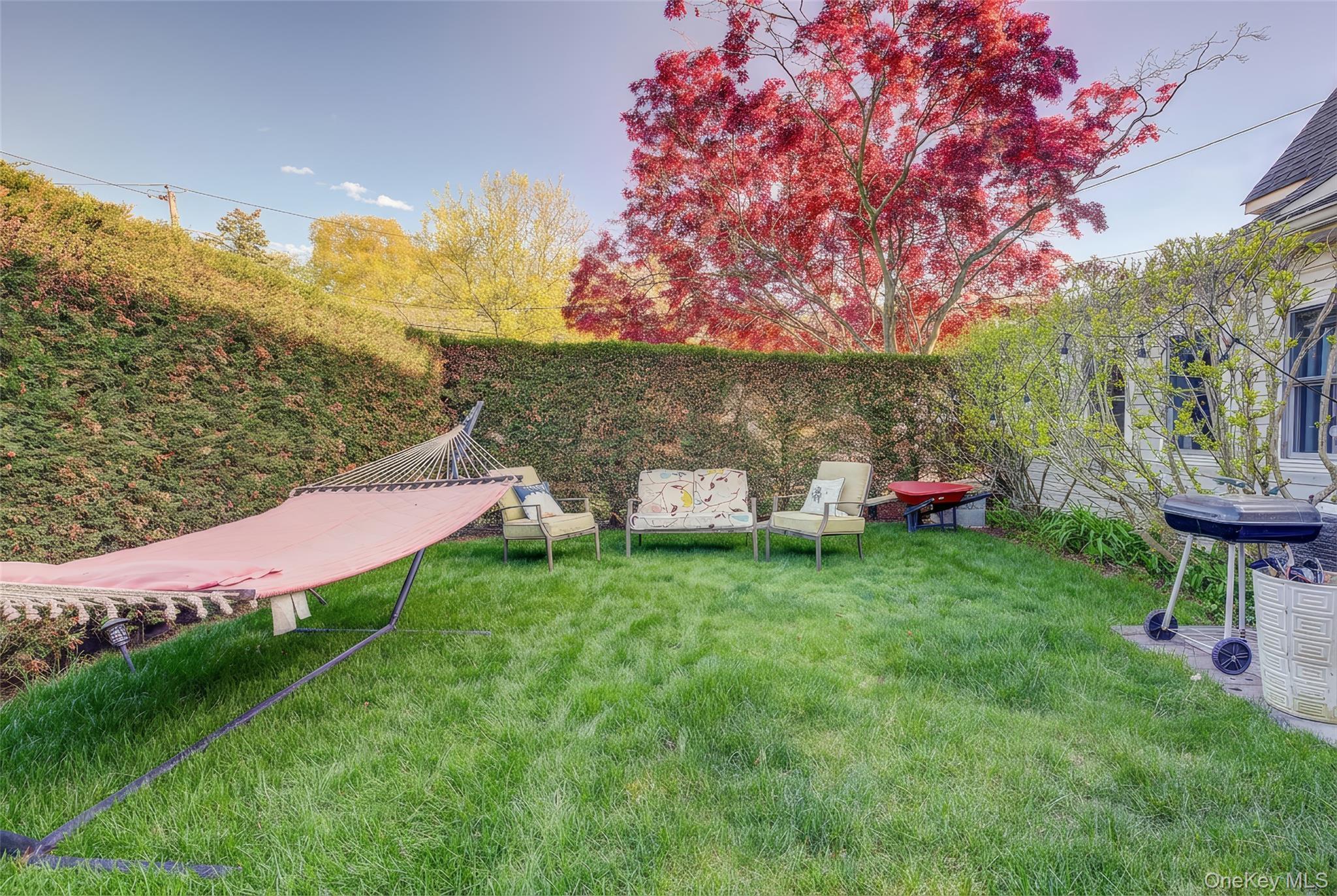 Single Family Buckingham Place Nassau County, NY 11563, MLS-994650-43