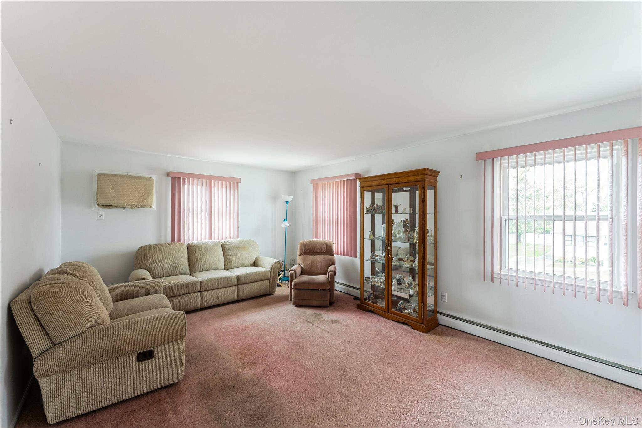 Single Family 2nd  Nassau County, NY 11735, MLS-994675-10