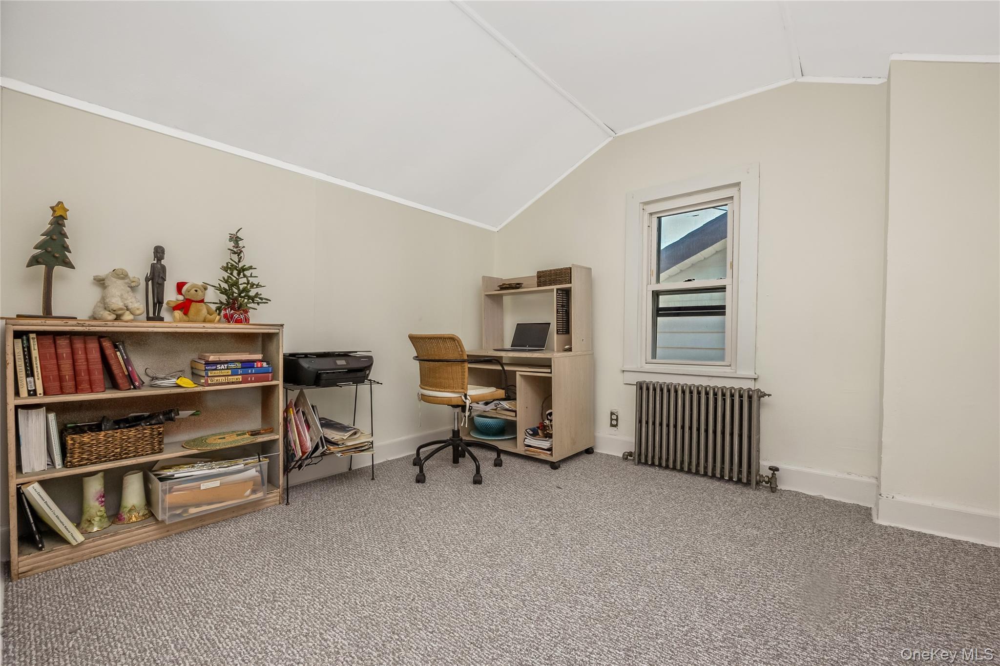 Single Family Wilder Bronx, NY 10466, MLS-994716-17