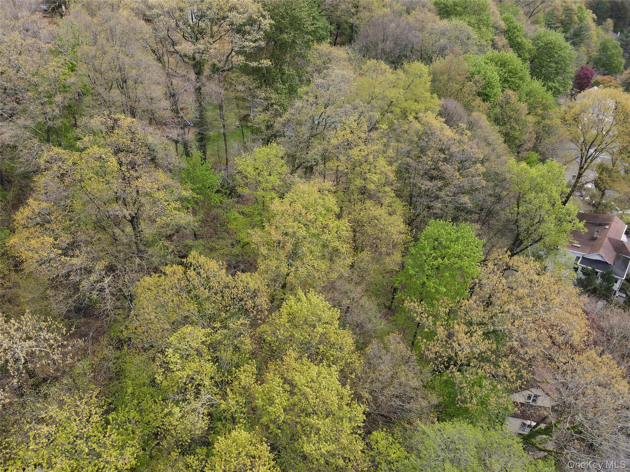 Single Family Columbus Ave  Westchester County, NY 10595, MLS-994745-3