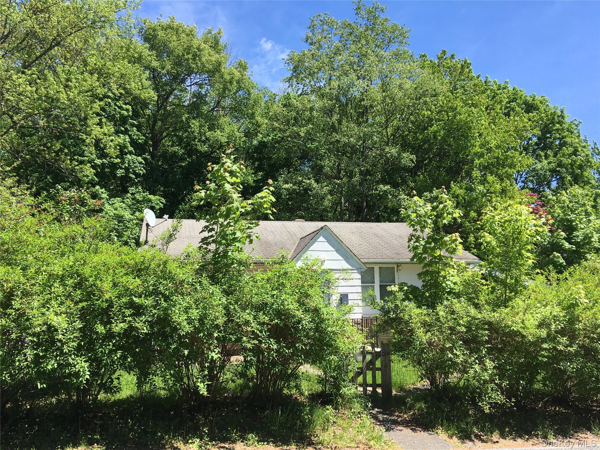 Single Family Nelshore Drive Sullivan County, NY 12701, MLS-994794-4