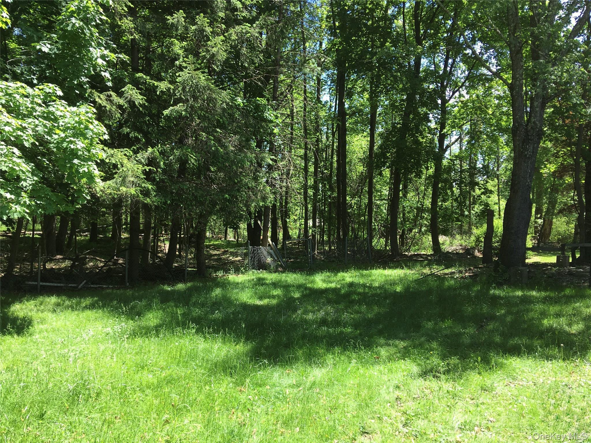 Single Family Nelshore Drive Sullivan County, NY 12701, MLS-994794-8