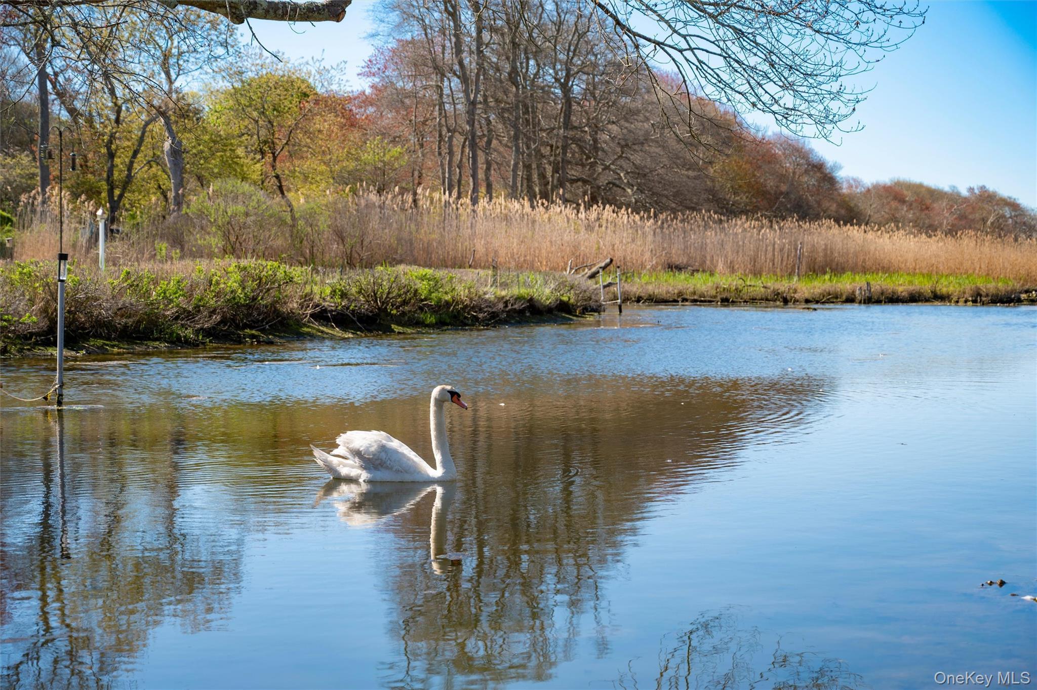 Single Family S Country Road  Suffolk County, NY 11960, MLS-994875-21