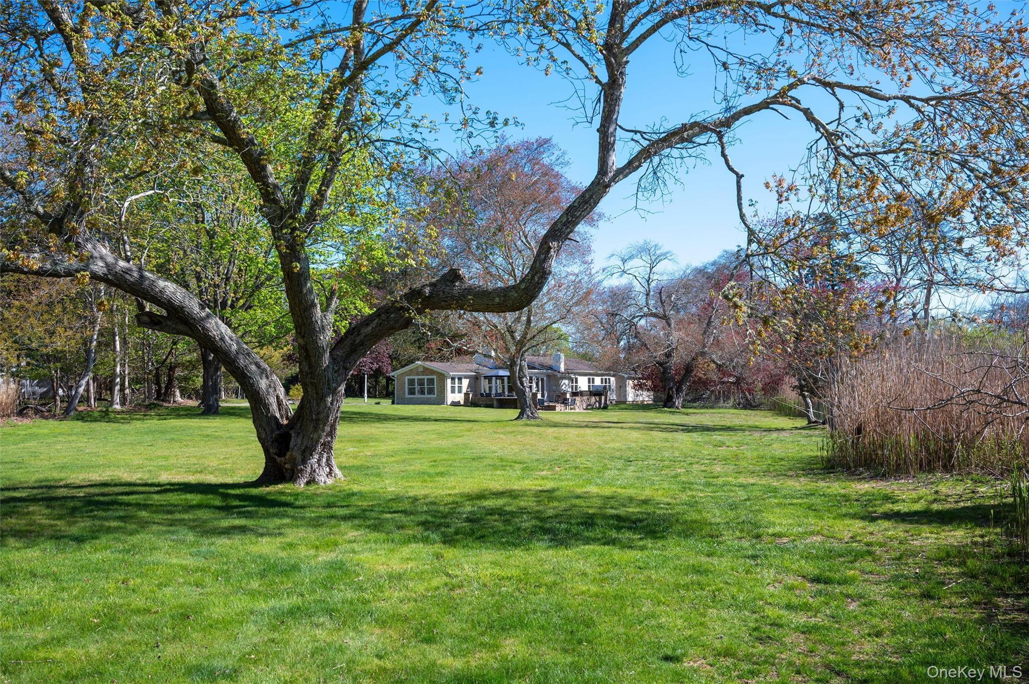 Single Family S Country Road  Suffolk County, NY 11960, MLS-994875-23