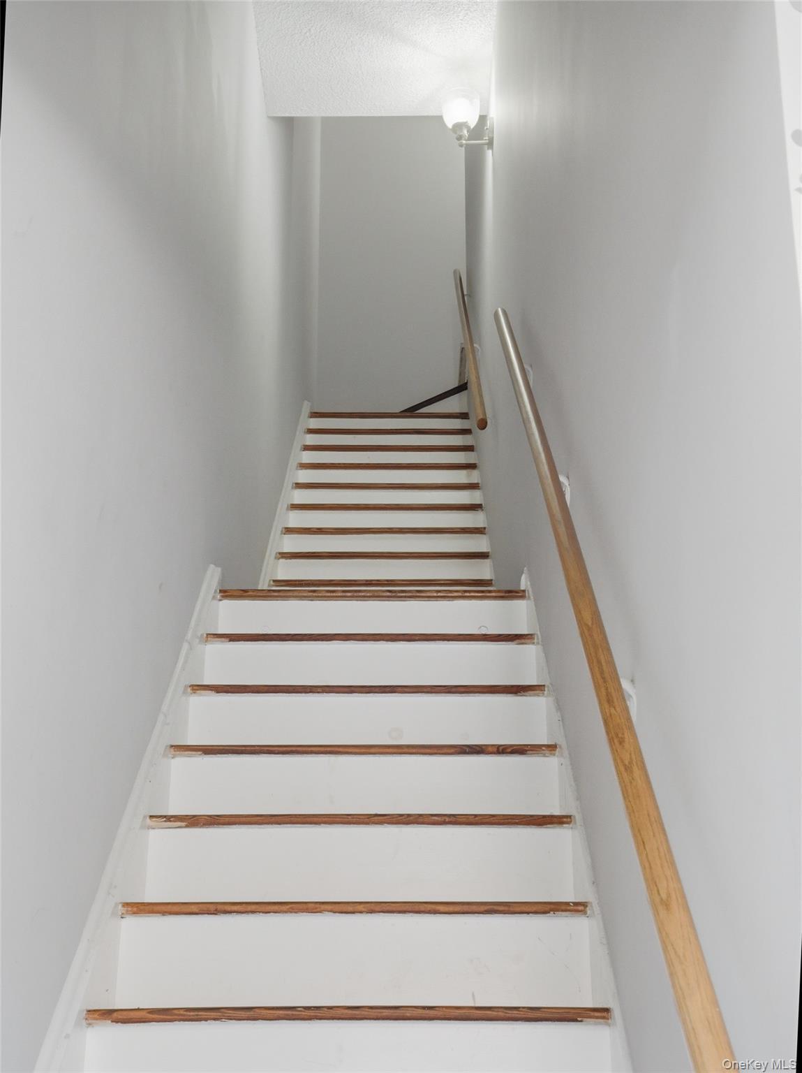 Single Family Longfellow Bronx, NY 10474, MLS-994916-19