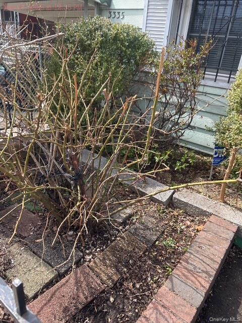 Single Family Hone  Bronx, NY 10469, MLS-994933-7