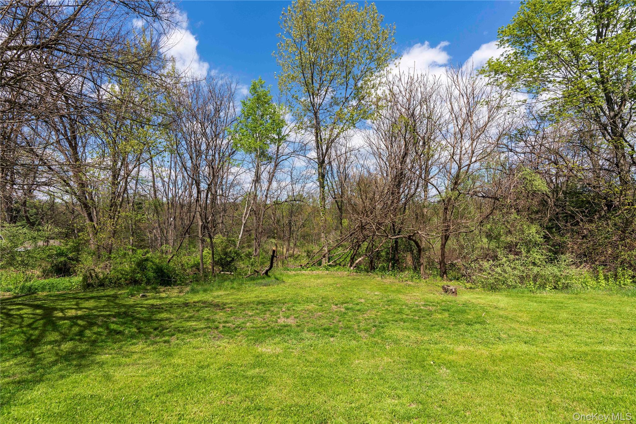 Single Family Rose Drive Ulster County, NY 12446, MLS-994960-34