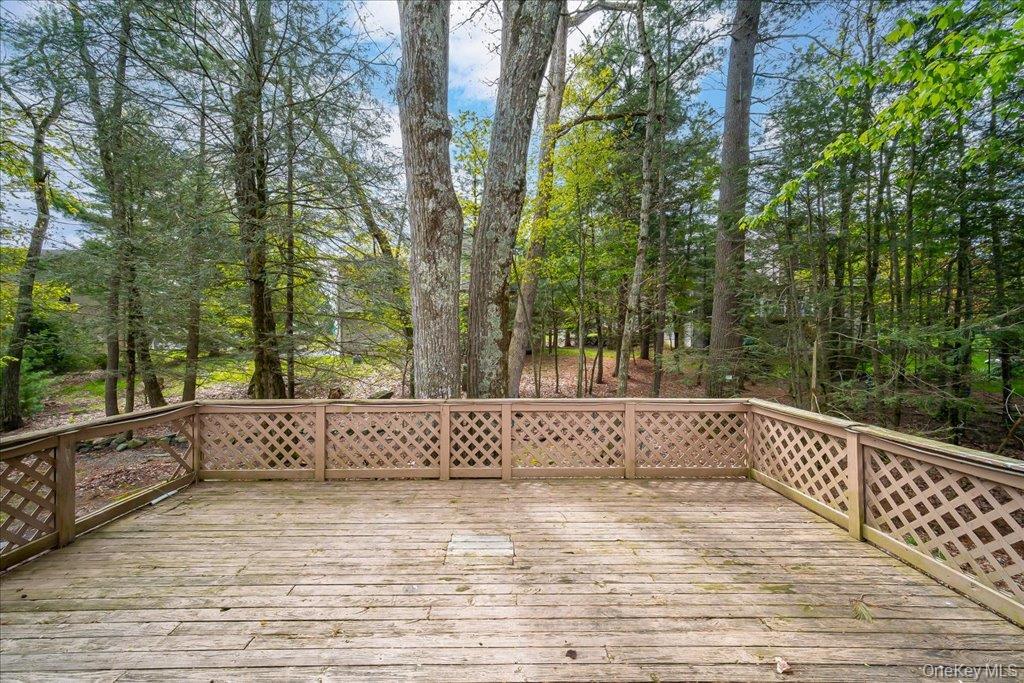 Single Family Chester Street Sullivan County, NY 12775, MLS-995033-28