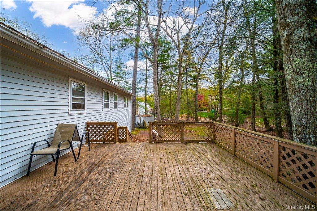 Single Family Chester Street Sullivan County, NY 12775, MLS-995033-29