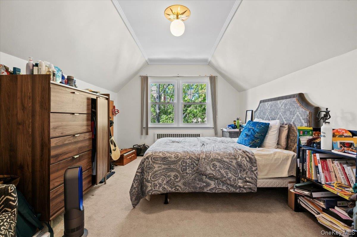 Single Family Dalny Road Queens, NY 11432, MLS-995096-15
