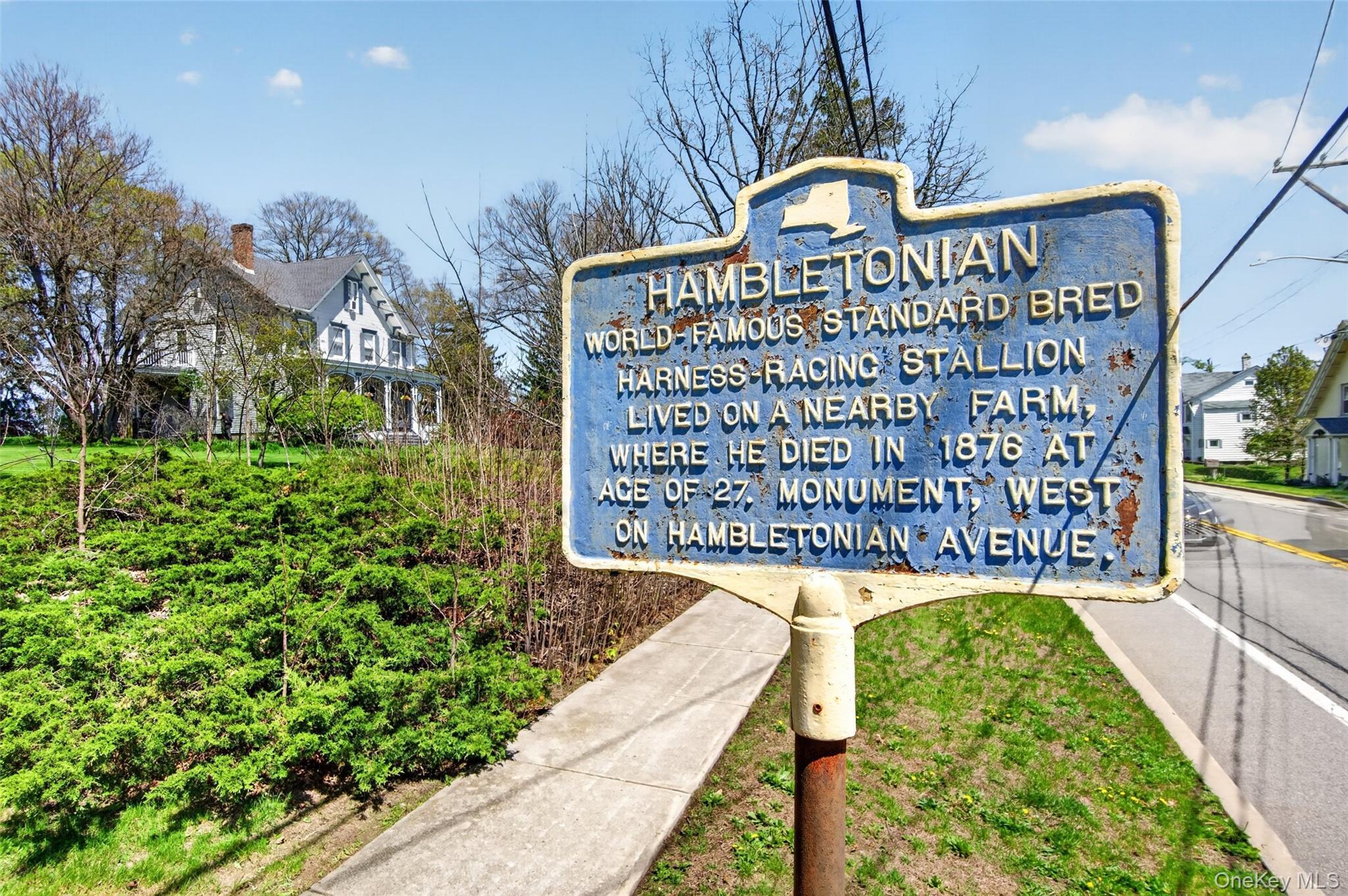 Single Family High Street Orange County, NY 10918, MLS-995148-48