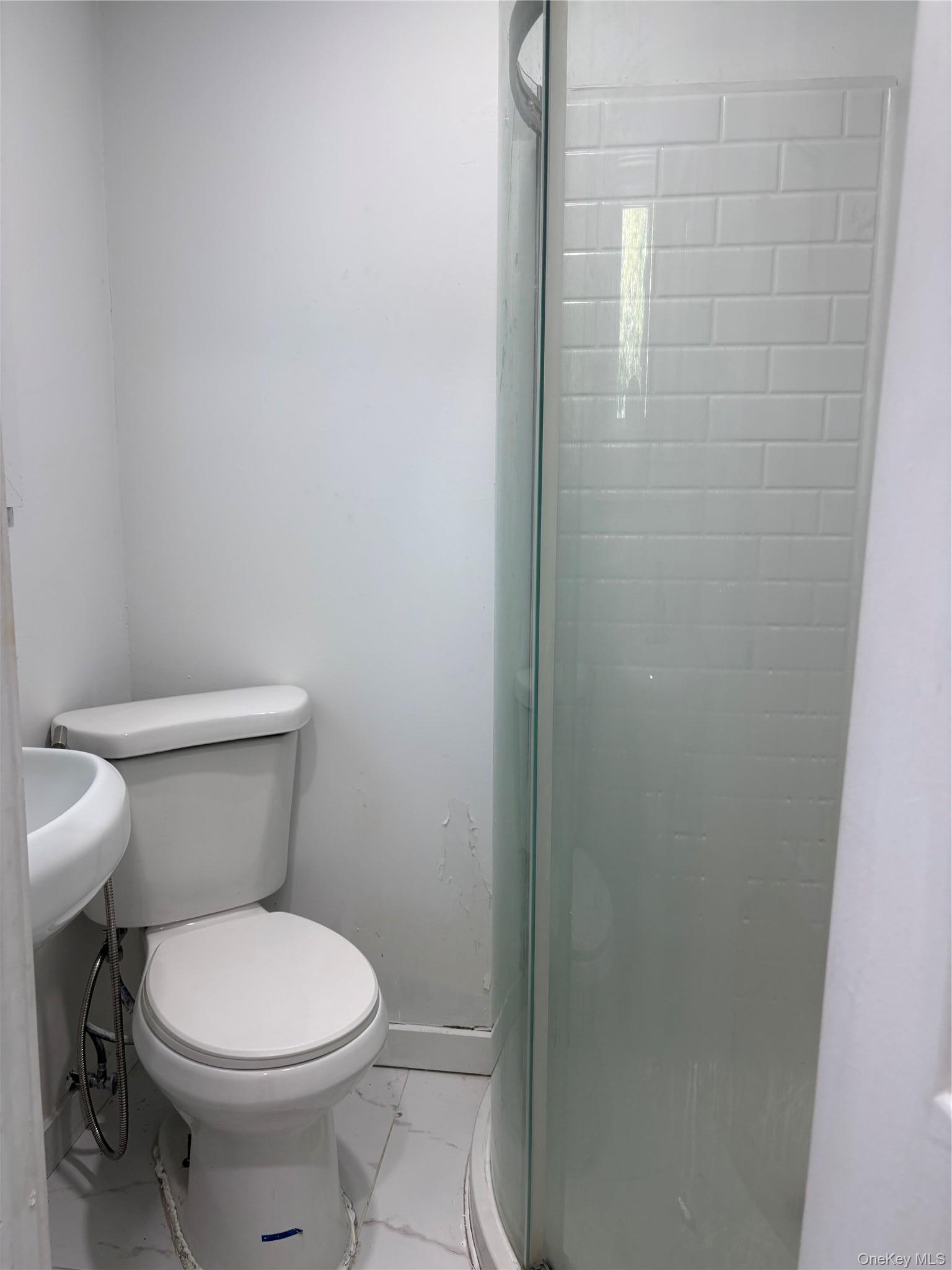 Single Family 1st Avenue Nassau County, NY 11040, MLS-995175-12