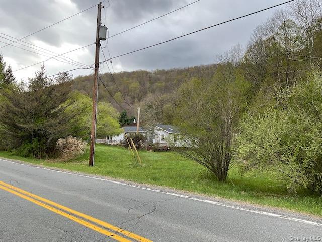 Single Family Cr 134  Sullivan County, NY 12736, MLS-995186-5