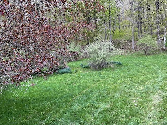 Single Family Cr 134  Sullivan County, NY 12736, MLS-995186-6