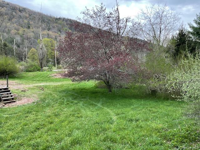 Single Family Cr 134  Sullivan County, NY 12736, MLS-995186-8