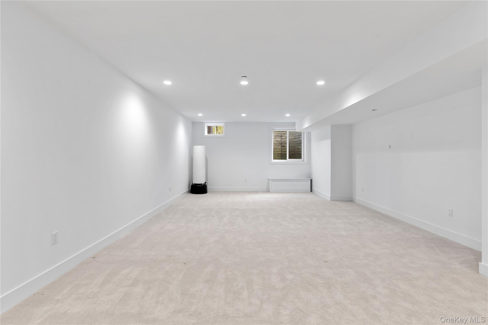 Single Family Sequoia Circle Nassau County, NY 11030, MLS-995204-41
