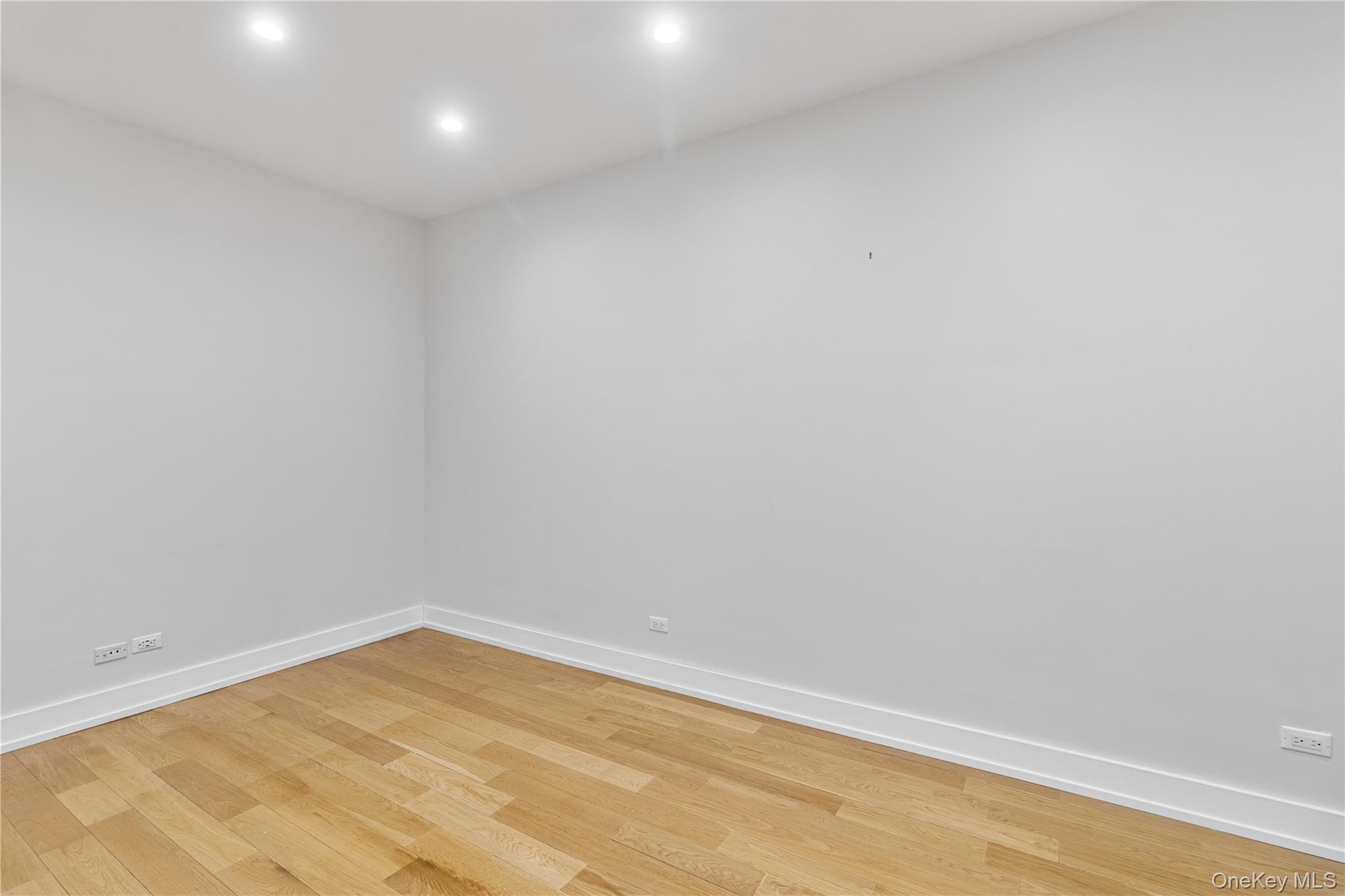 Condo Crown  Brooklyn, NY 11225, MLS-995227-11