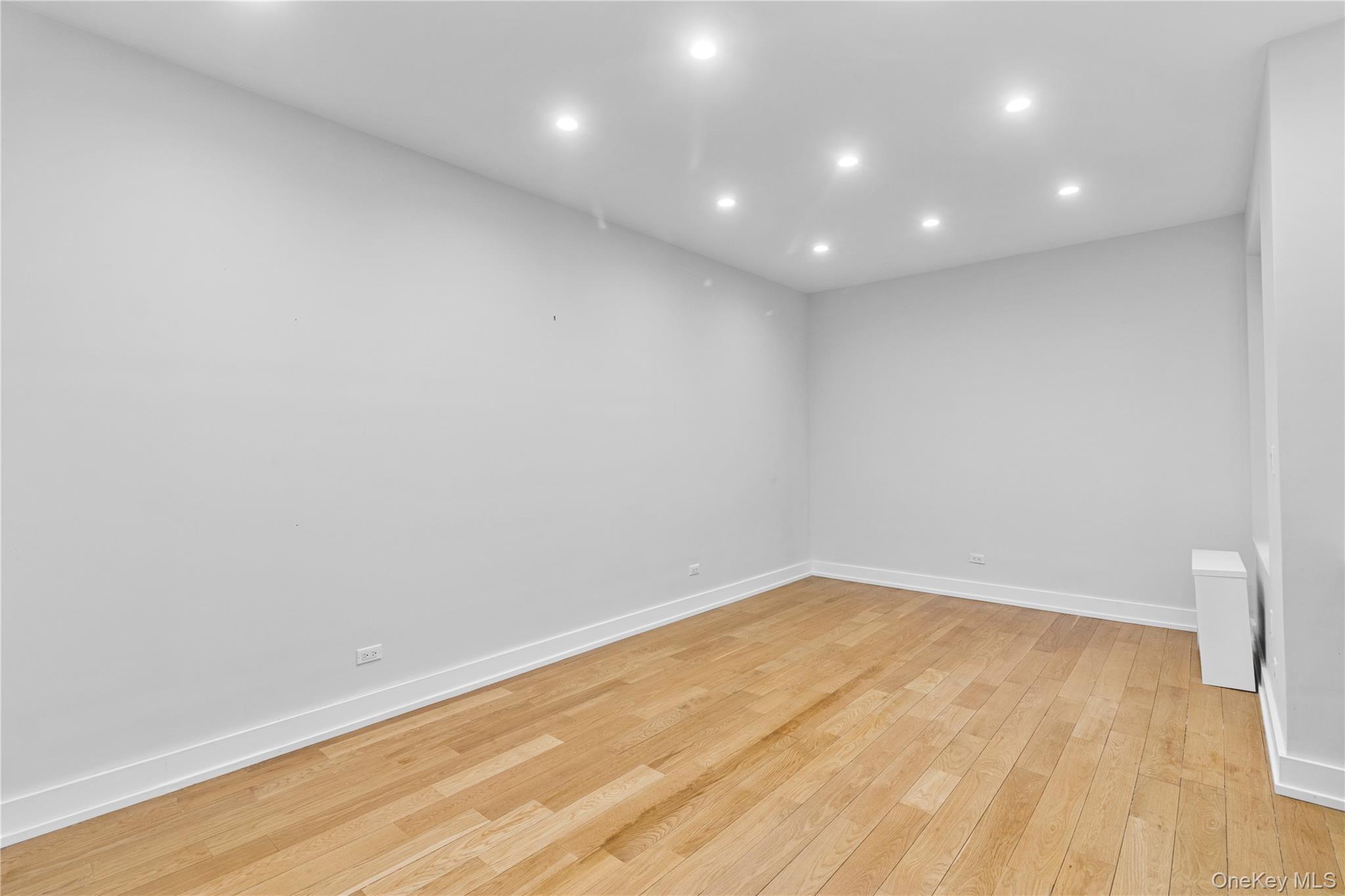 Condo Crown  Brooklyn, NY 11225, MLS-995227-2
