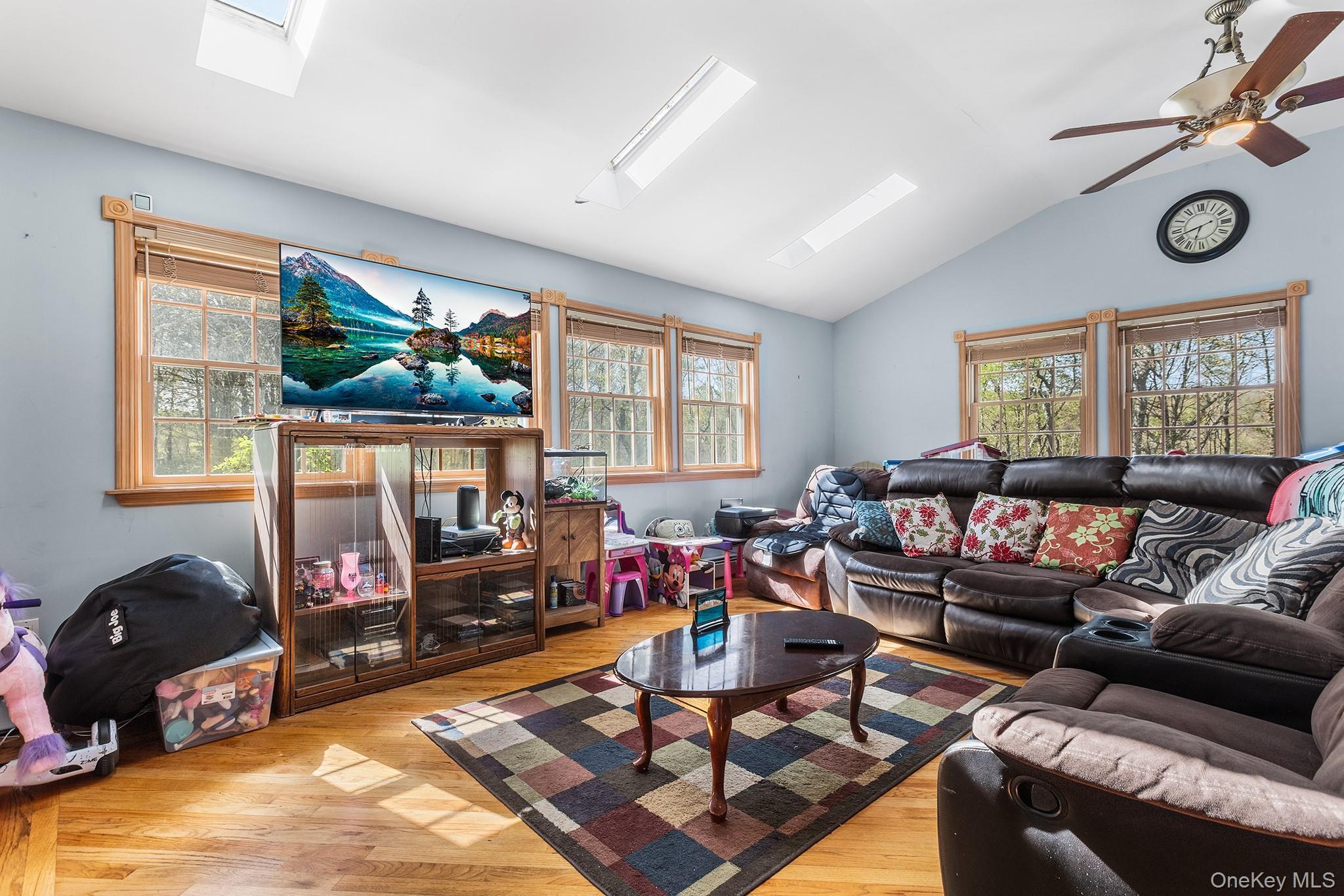 Single Family Taylor Sullivan County, NY 12768, MLS-995231-11