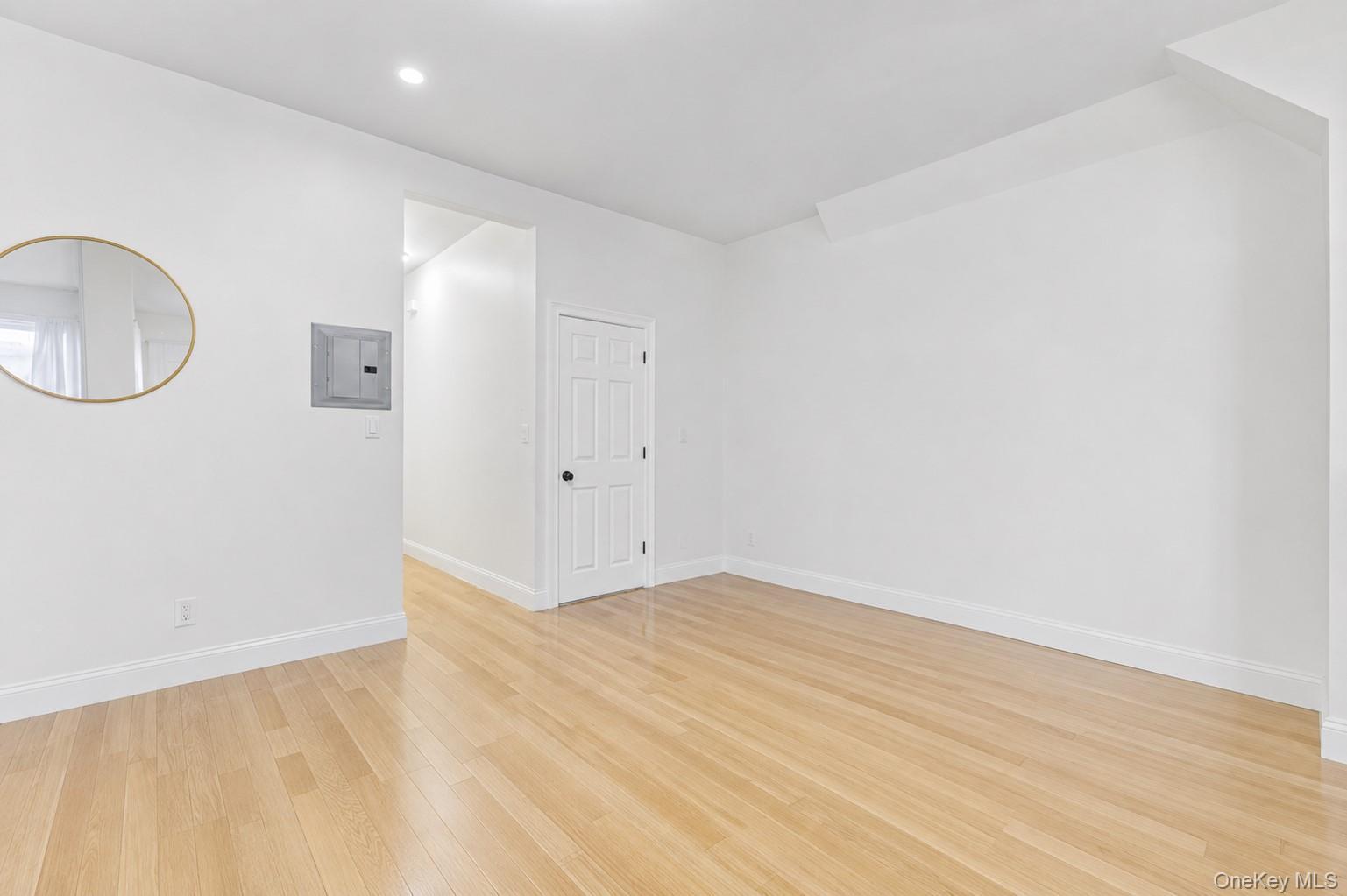 Single Family Ashford Street  Brooklyn, NY 11207, MLS-995236-10