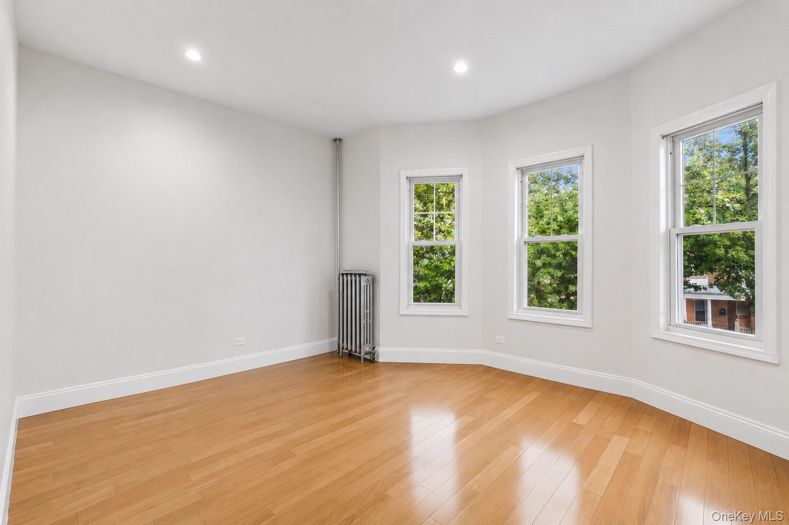 Single Family Ashford Street  Brooklyn, NY 11207, MLS-995236-19