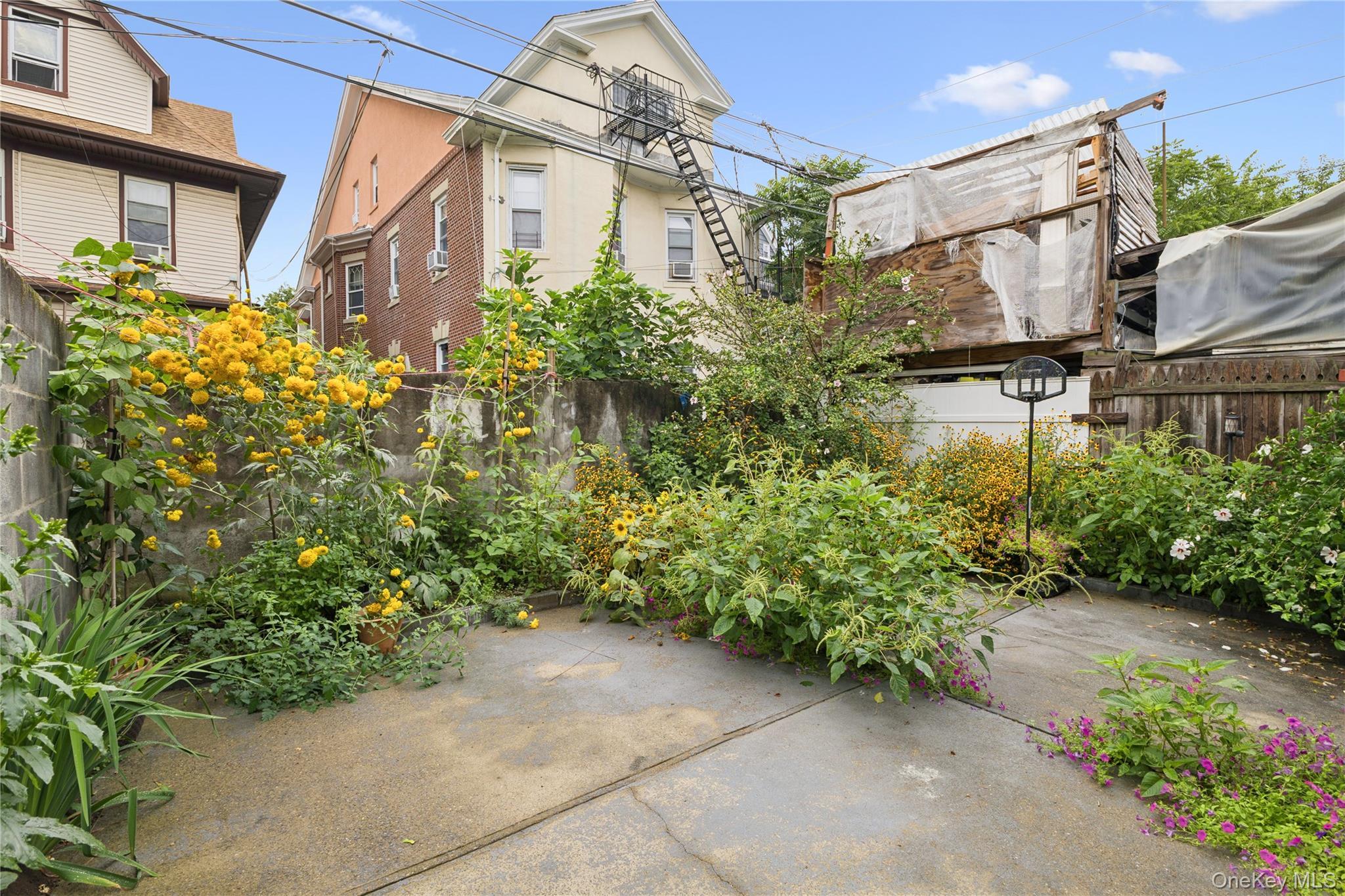 Single Family Ashford Street  Brooklyn, NY 11207, MLS-995236-35