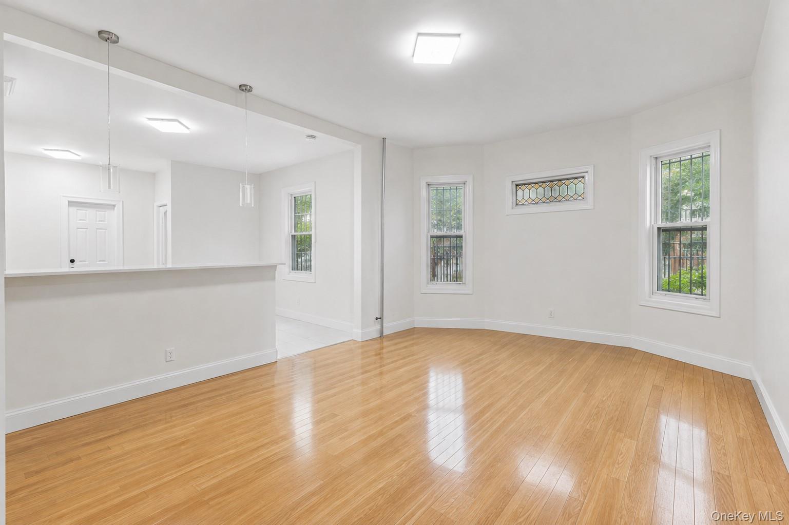 Single Family Ashford Street  Brooklyn, NY 11207, MLS-995236-9