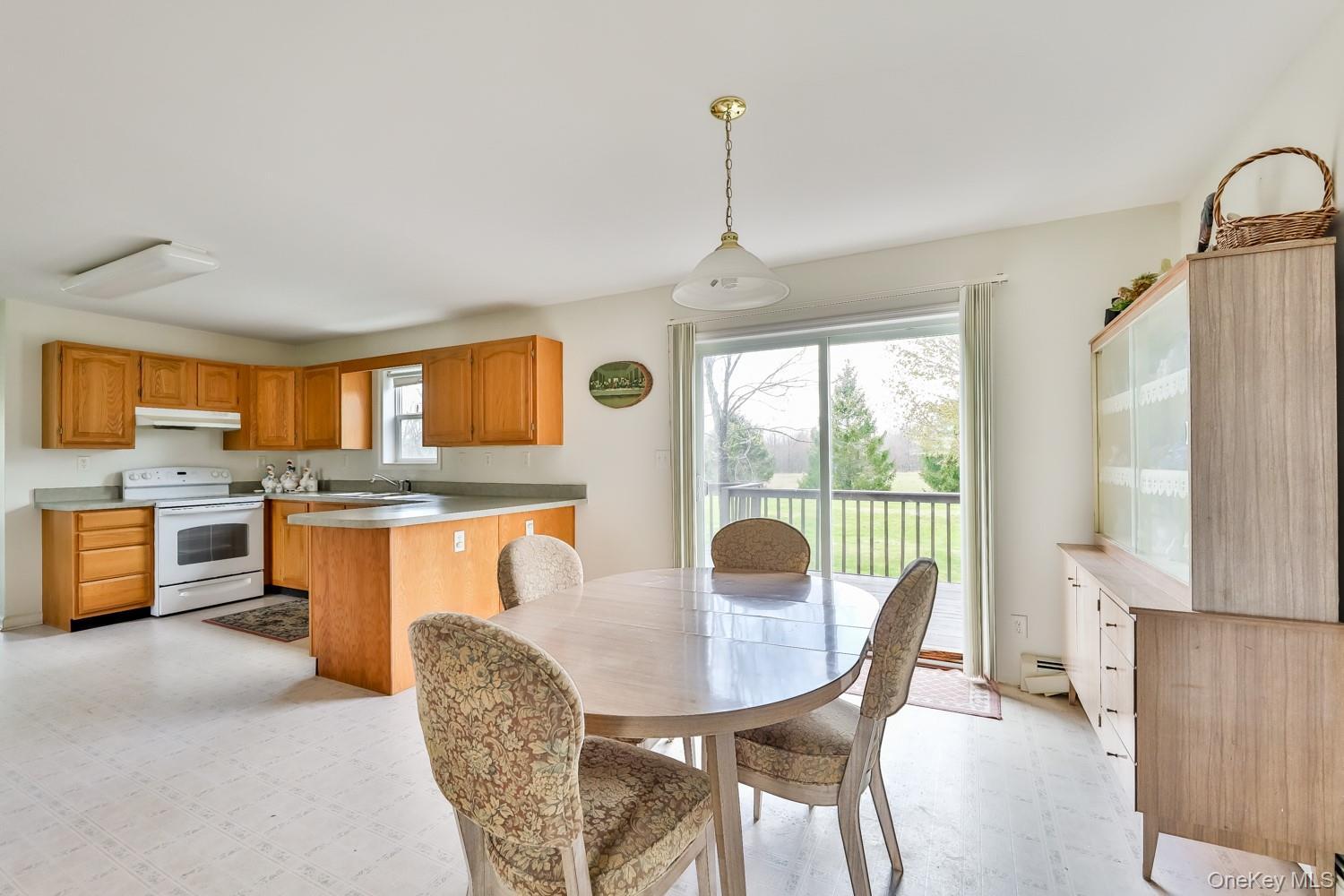 Single Family Case  Greene County, NY 12407, MLS-995243-10