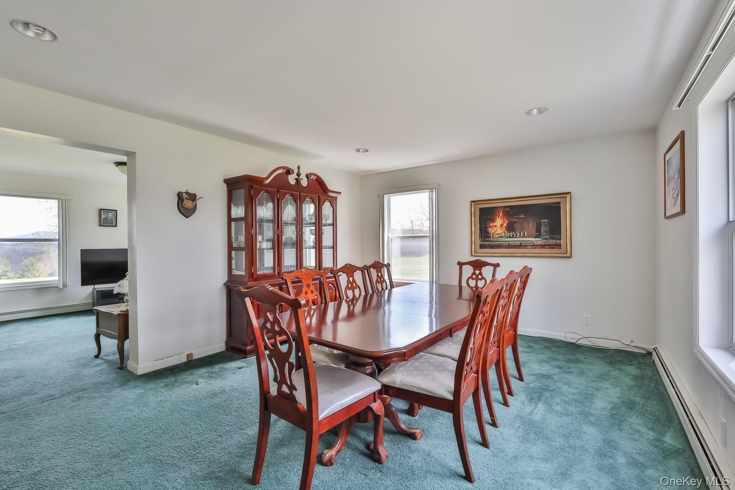 Single Family Case  Greene County, NY 12407, MLS-995243-14
